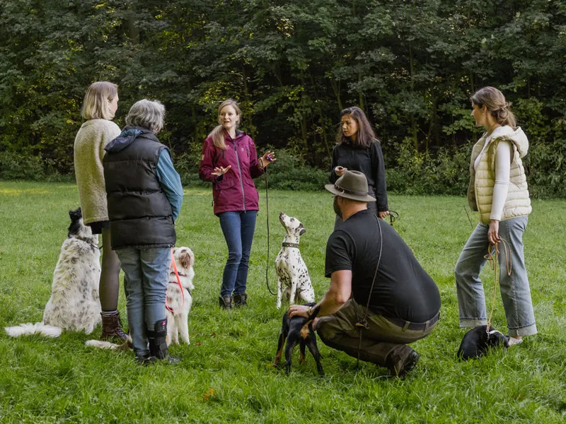 Ausbildung zur Hundetrainerin