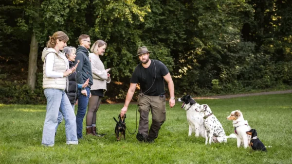 Distanzarbeit und Impulskontrolle