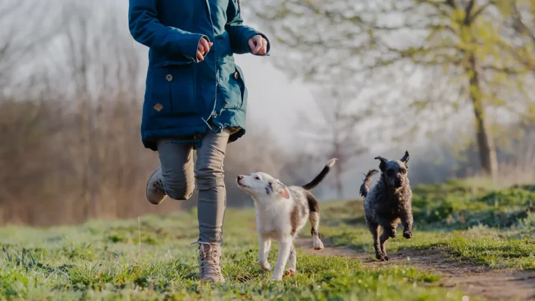 Freude beim Spaziergang