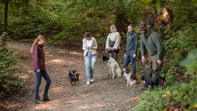 Gruppentraining im Wald