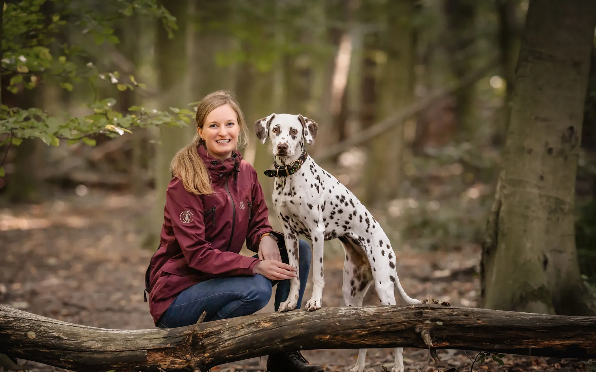 Hundetraining in der Nähe von Hilden