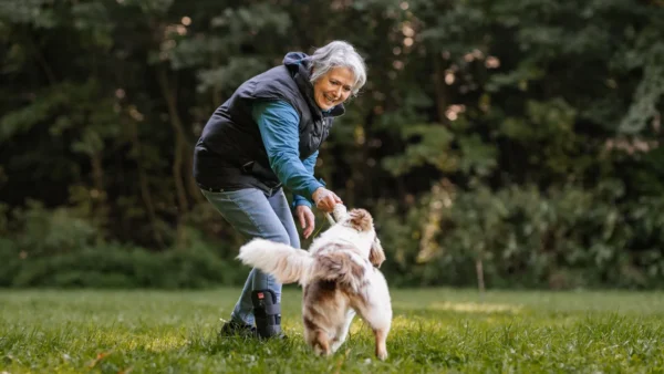 Spielerisches Lernen