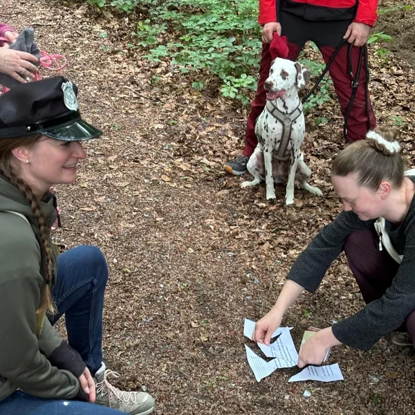 Hinweise von Hunden gefunden, von Menschen entschlüsselt